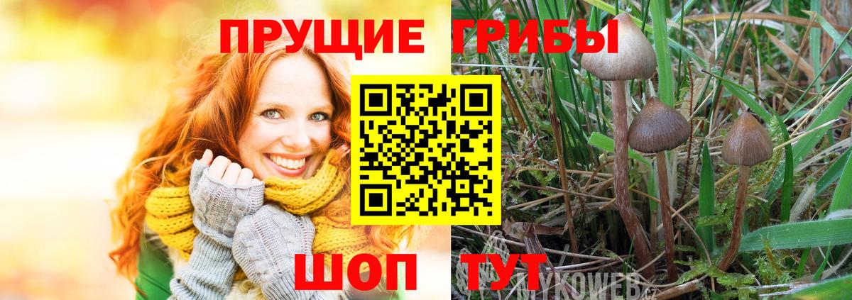 Псилоцибиновые грибы мухоморы  Вход с VPN  Тобольск 