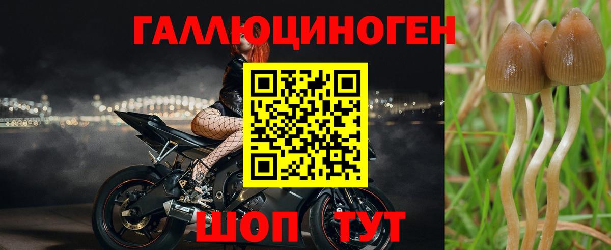 Псилоцибиновые грибы мухоморы Тобольск